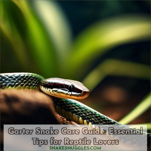 garter snake pet care
