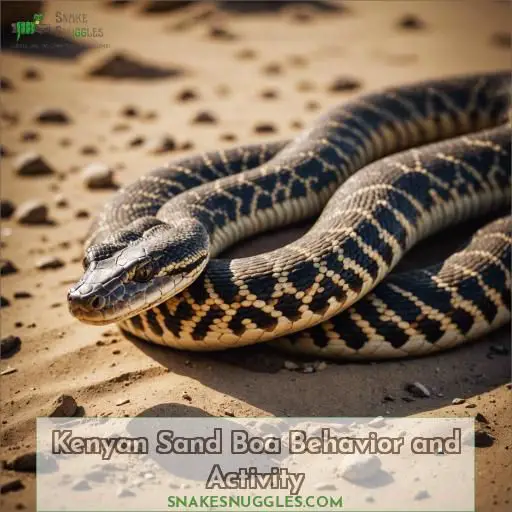 Kenyan Sand Boa Behavior and Activity