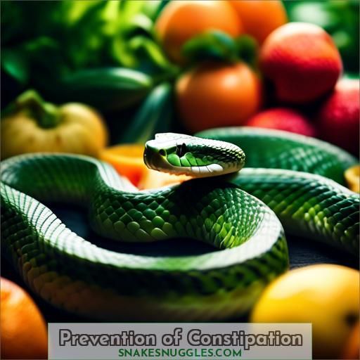 Prevention of Constipation