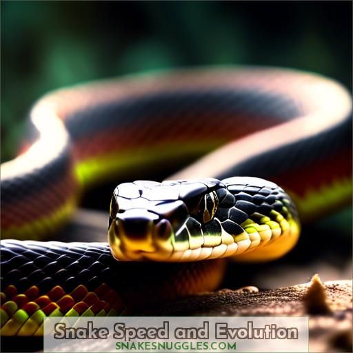Snake Speed and Evolution
