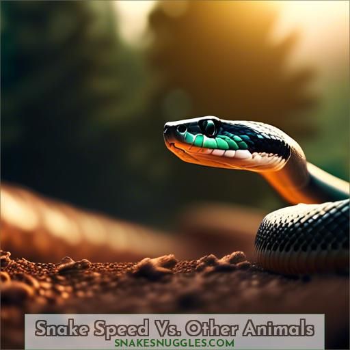 Snake Speed Vs. Other Animals