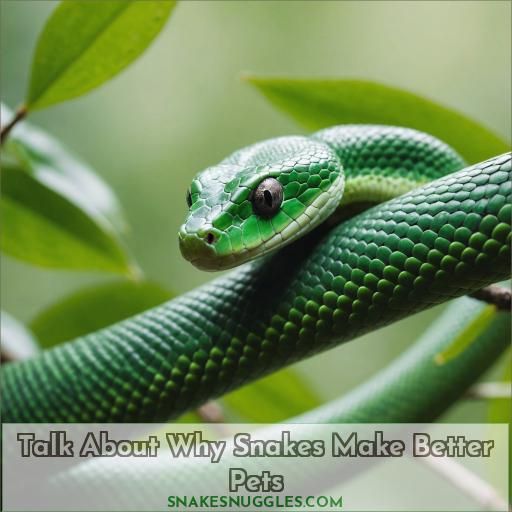 Talk About Why Snakes Make Better Pets