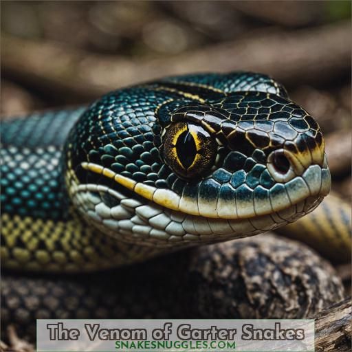 The Venom of Garter Snakes
