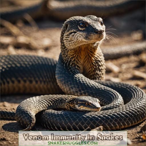 Venom Immunity in Snakes