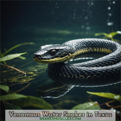 Venomous Water Snakes in Texas