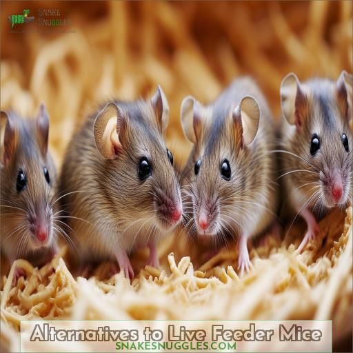 Alternatives to Live Feeder Mice