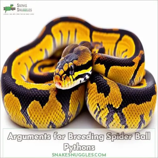 Arguments for Breeding Spider Ball Pythons