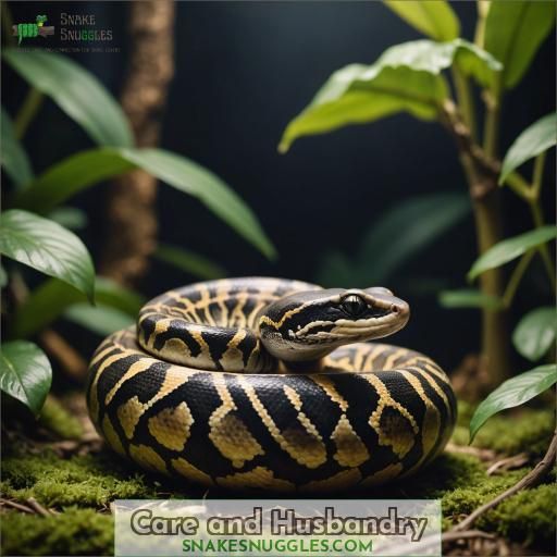 Care and Husbandry