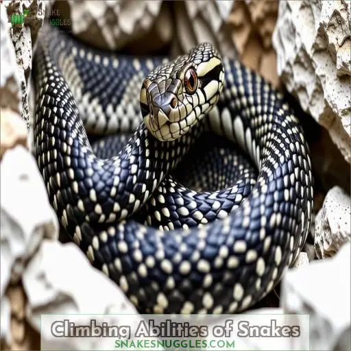Climbing Abilities of Snakes