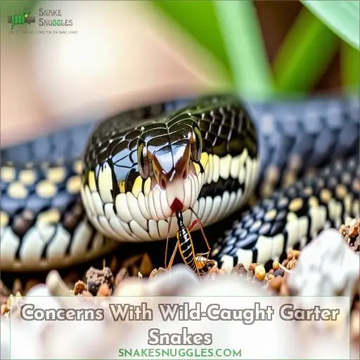 Concerns With Wild-Caught Garter Snakes
