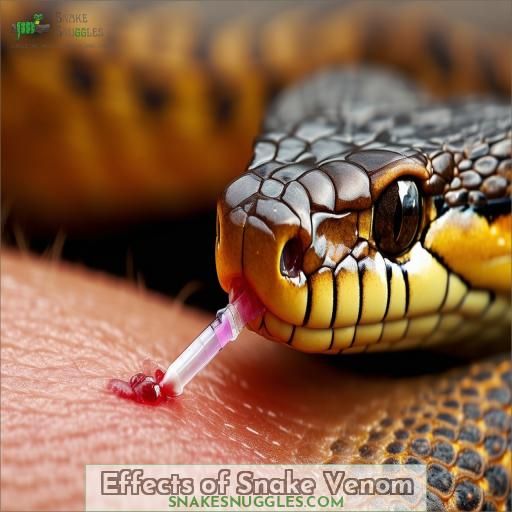 Effects of Snake Venom