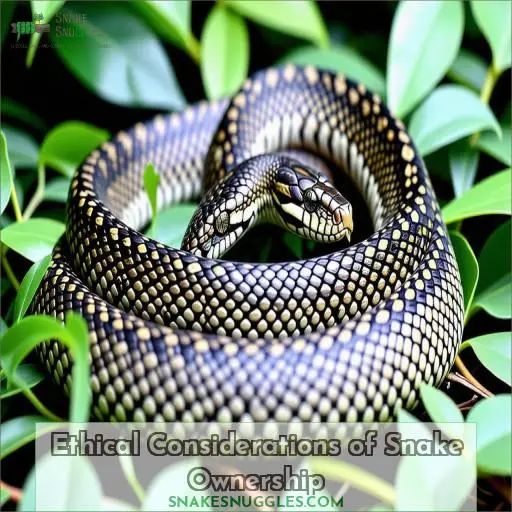 Ethical Considerations of Snake Ownership