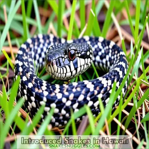 Introduced Snakes in Hawaii