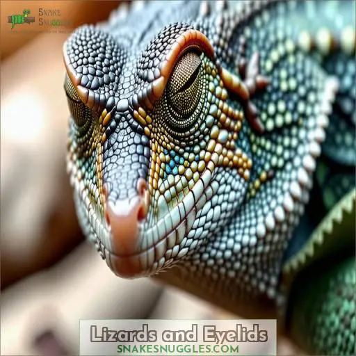 Lizards and Eyelids