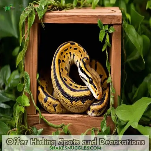 Offer Hiding Spots and Decorations