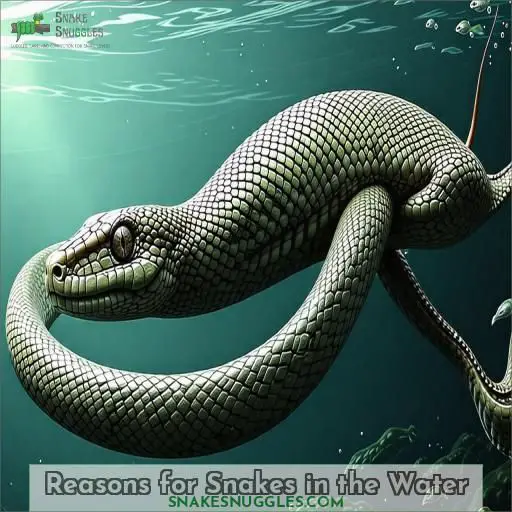 Reasons for Snakes in the Water