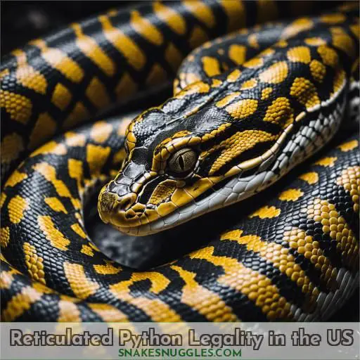 Reticulated Python Legality in the US