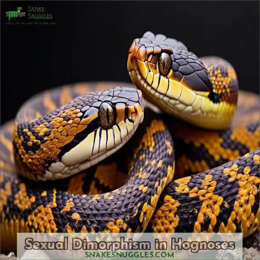 Sexual Dimorphism in Hognoses