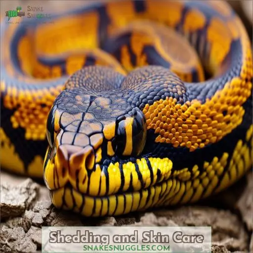 Shedding and Skin Care