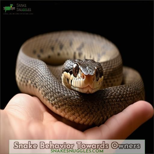 Snake Behavior Towards Owners