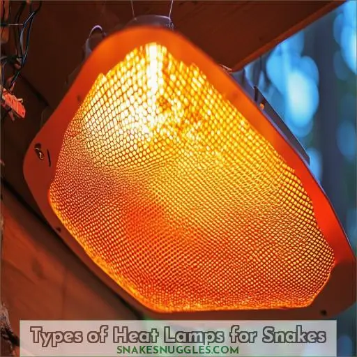 Types of Heat Lamps for Snakes