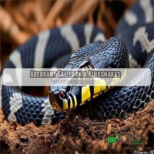 Aberrant California Kingsnakes