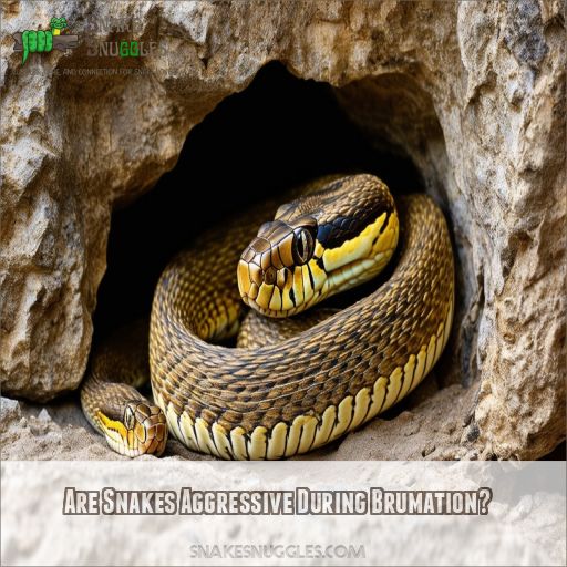 Are Snakes Aggressive During Brumation
