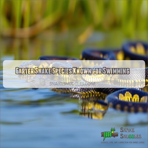 Garter Snake Species Known for Swimming