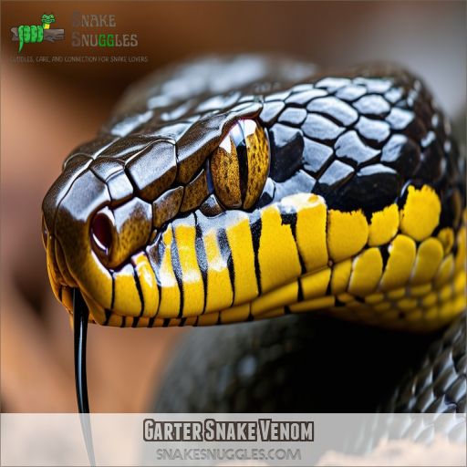 Garter Snake Venom