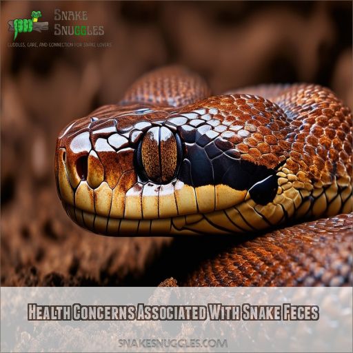 Health Concerns Associated With Snake Feces