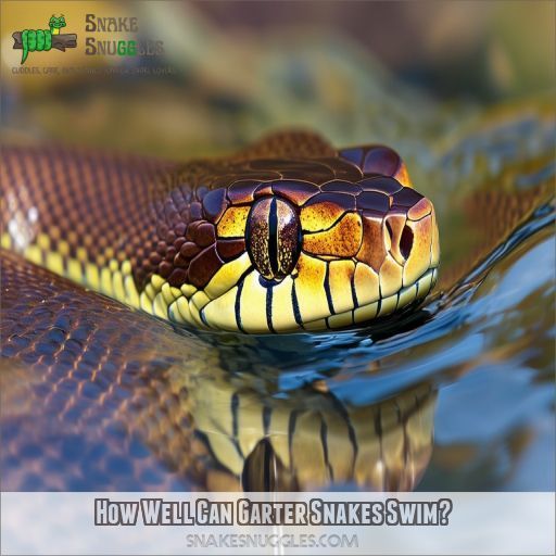 How Well Can Garter Snakes Swim