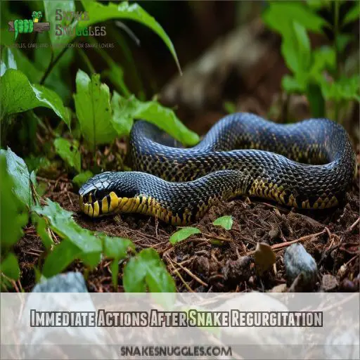 Immediate Actions After Snake Regurgitation