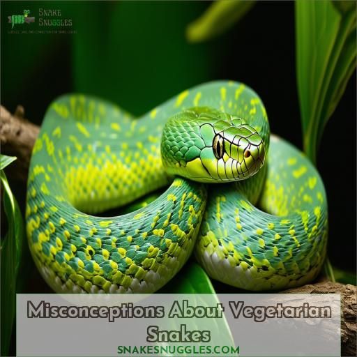 Misconceptions About Vegetarian Snakes