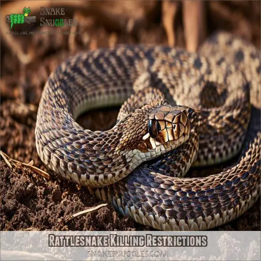 Rattlesnake Killing Restrictions
