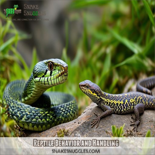 Reptile Behavior and Handling