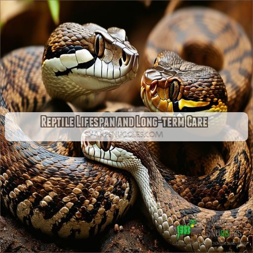 Reptile Lifespan and Long-term Care