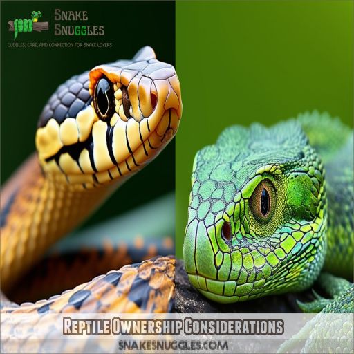 Reptile Ownership Considerations