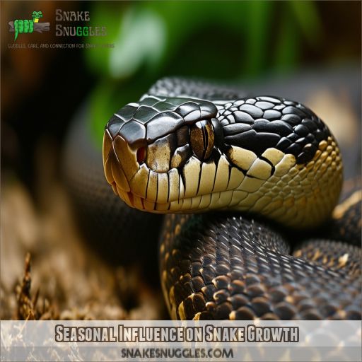 Seasonal Influence on Snake Growth