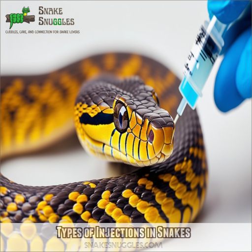 Types of Injections in Snakes