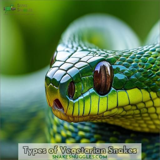 Types of Vegetarian Snakes