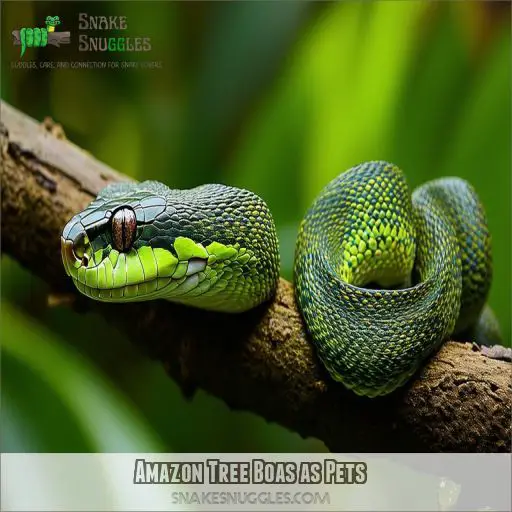 Amazon Tree Boas: Care, Habitat, Behavior, Health, and Breeding Guide