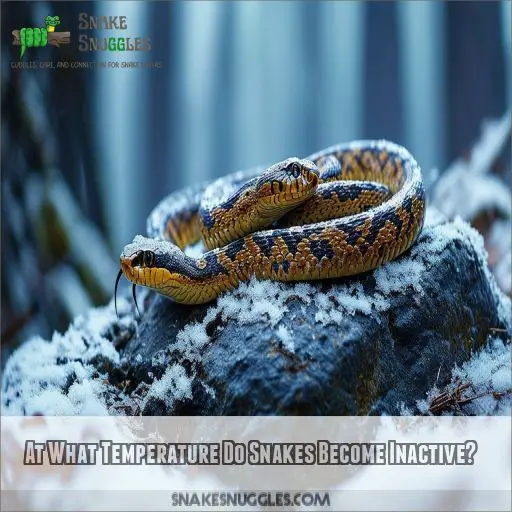 At What Temperature Do Snakes Become Inactive