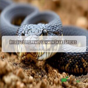 How Old Can Snakes Get? Lifespan Insights of Various Snake Species ...