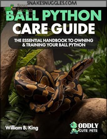 Image showcasing Feeding Frozen Thawed Ball Python: 9 Pro Tips for Safe Success