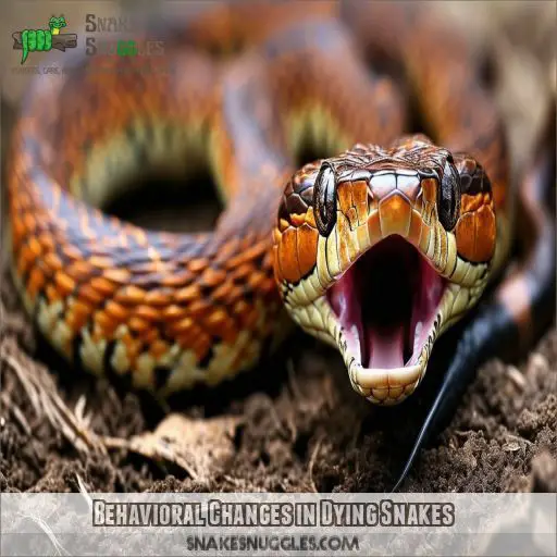 Behavioral Changes in Dying Snakes