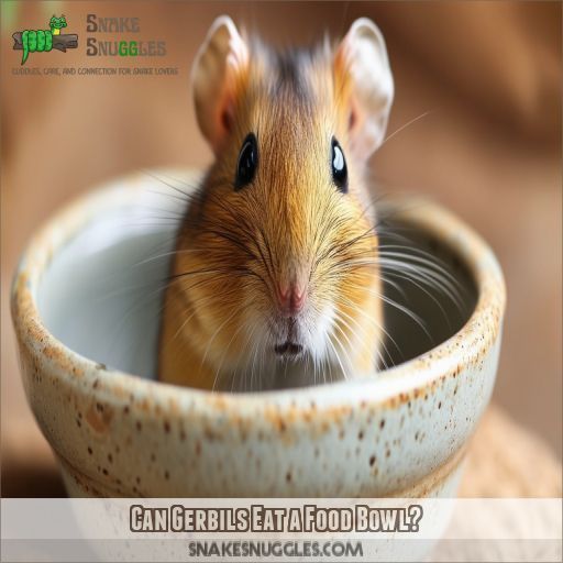 Can Gerbils Eat a Food Bowl