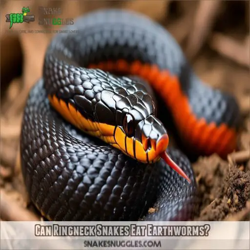 Can Ringneck Snakes Eat Earthworms