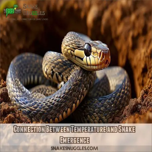 Connection Between Temperature and Snake Emergence