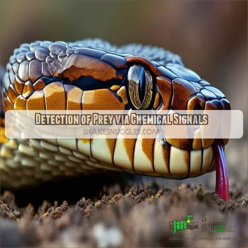 Detection of Prey via Chemical Signals