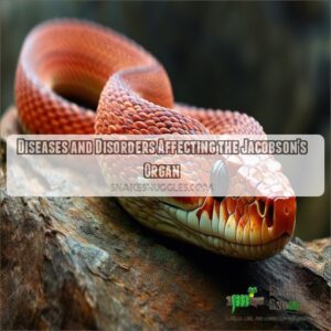 Jacobson's Organ: Snakes' Superpower Sense Explained